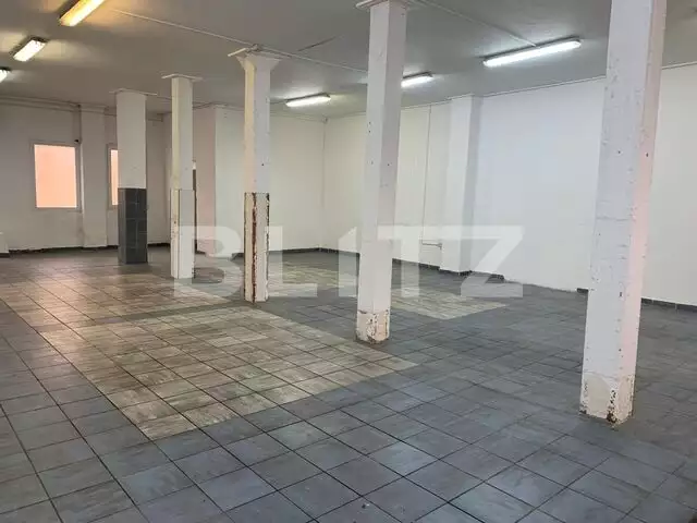 Spațiu industrial de inchiriat, 4 camere, 327 mp, zona Alfa