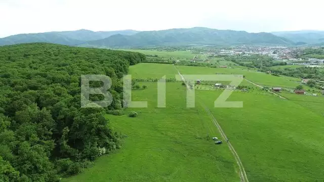 Teren de 5000 mp in Cisnadie, la doar 5 minute de Sibiu