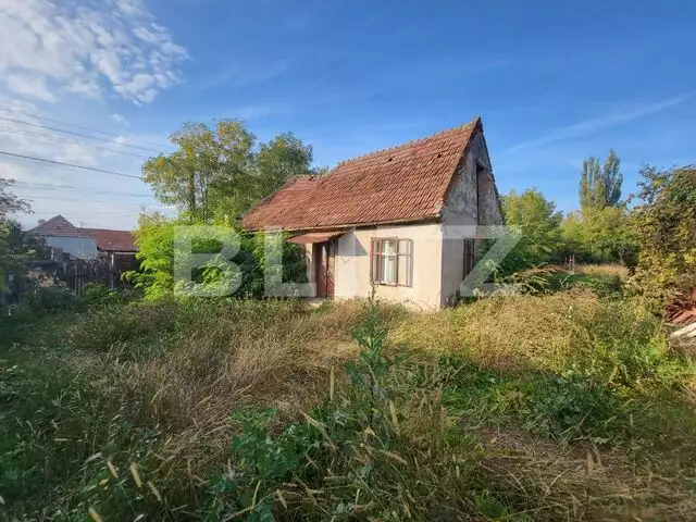 Casa individuala, teren de 1580 mp, Oarda de Sus