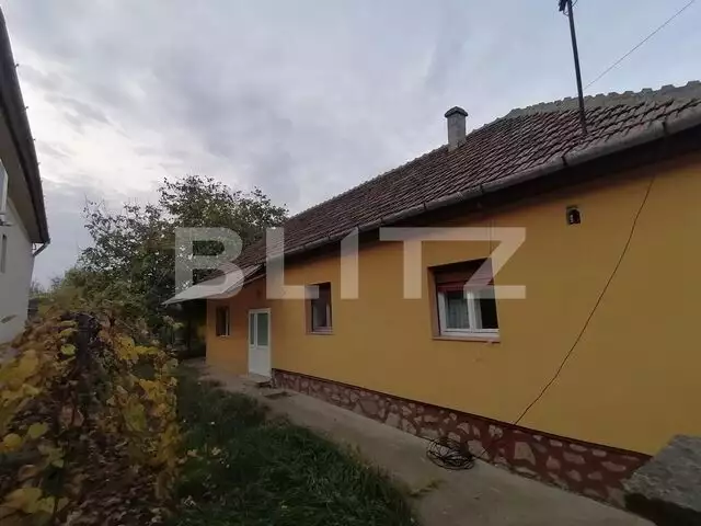 Casa cu teren 3211 mp, doua fronturi stradale, Vladimirescu