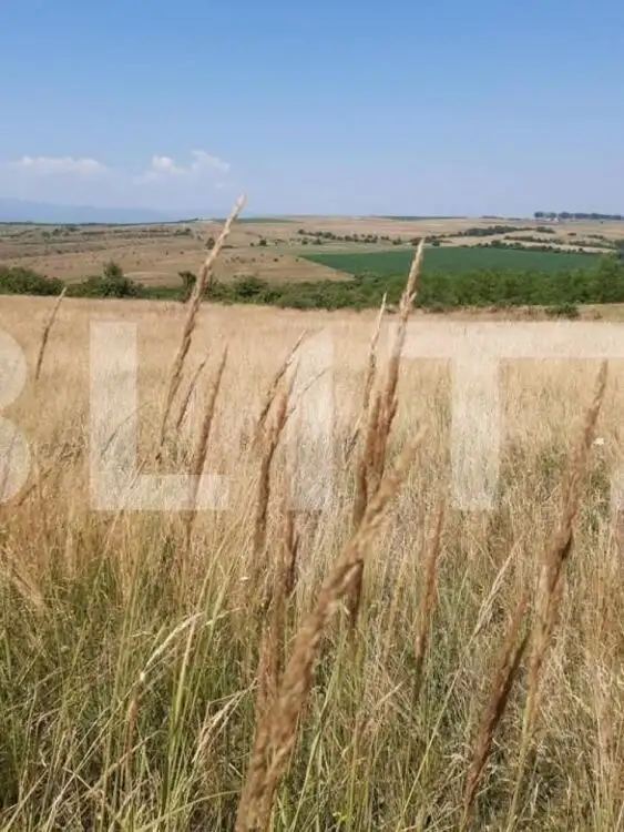 Teren agricol de vanzare in Sibiu zona Centrului de echitatie Zorabia