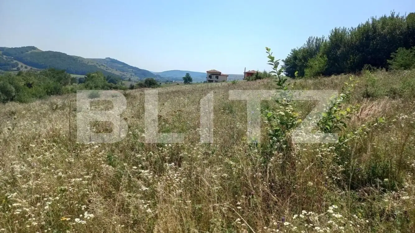 Vand teren extravilan in Stolna suprafata 2550 mp, front 37 utilitati in zona