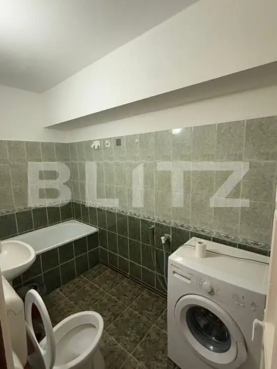 Închiriere apartament, cu o cameră, 58 mp, etaj 2, zona Terezian