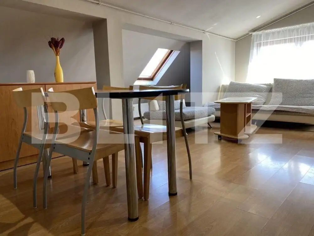 Apartament 3 camere, pet friendly, AC, zona strazii Barbu Patriciu