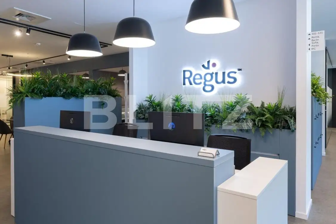 Birouri All-inclusive Regus, 2-22 persoane, mobilate si echipate, Iulius Mall