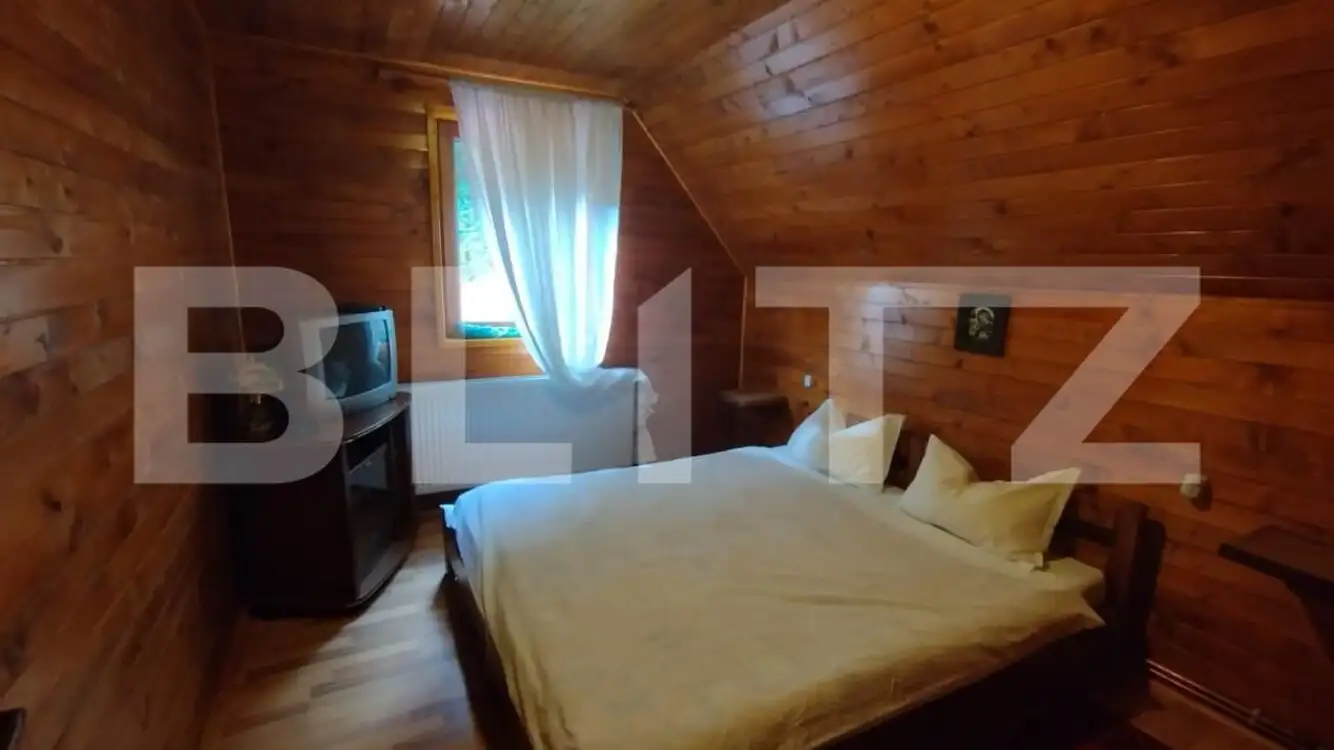 Casa de vacanta sau bussiness in inima naturii, pe Valea Ariesului !