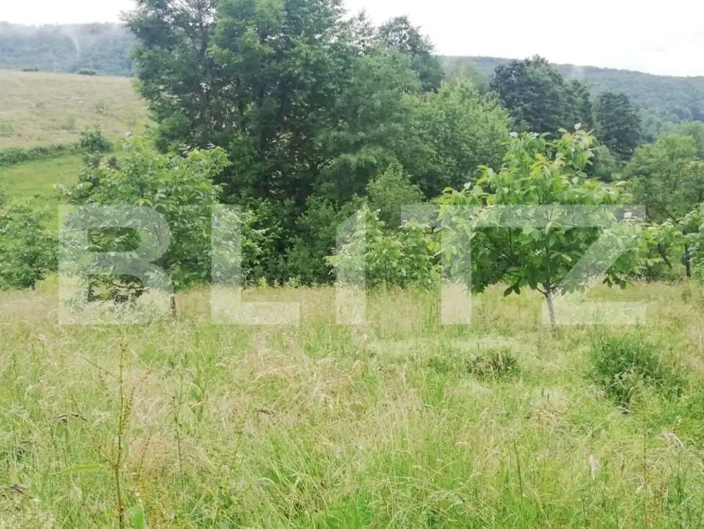 Casa cu teren de 65000 mp in Bratca, zona turistica