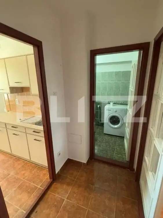 Închiriere apartament, cu o cameră, 58 mp, etaj 2, zona Terezian