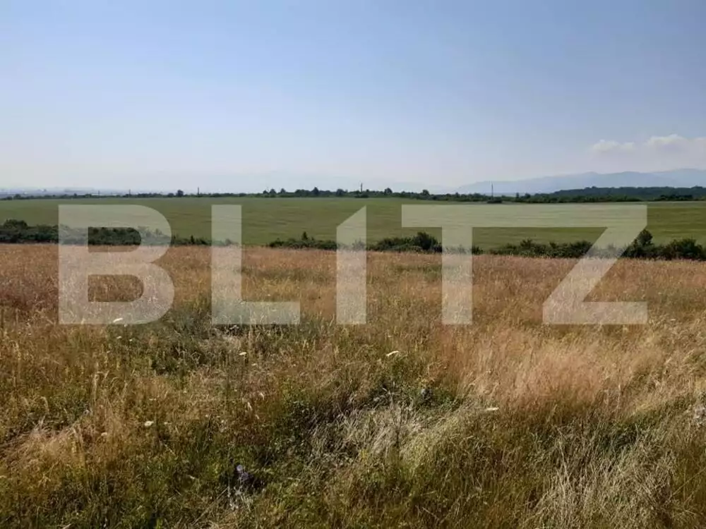Teren 5000 mp de vanzare in satul Rusciori la 8 km de Sibiu