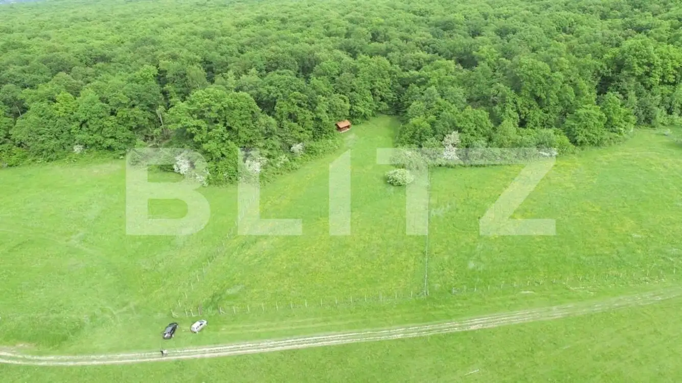 Teren de 5000 mp in Cisnadie, la doar 5 minute de Sibiu