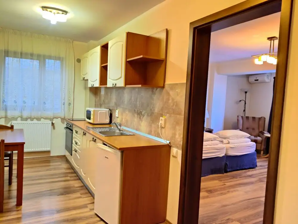 Apartament 1CAM 40 MP,  Buna Ziua, Str Trifoiului, parcare