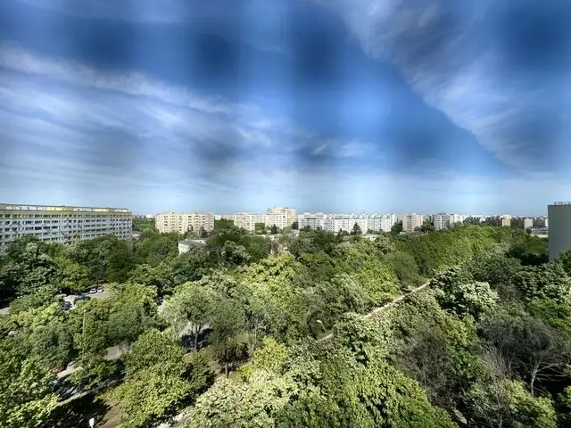 Apartament 3 camere Camil Ressu - cea mai verde vedere din cartier