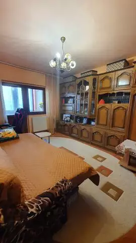 Apartament cu 1 camera in Buziasului