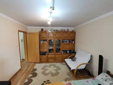 Apartament 2 camere, zona Steaua