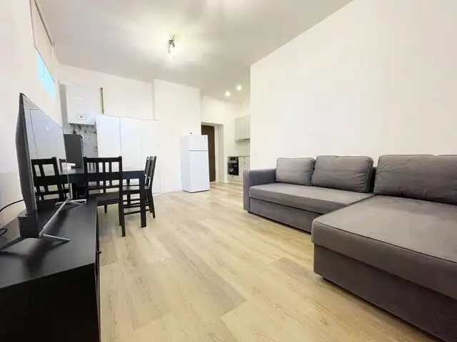 Apartament 1 camera 26 mp - Strada Republicii -  UMF - Centru