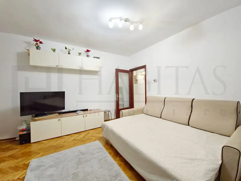 Apartament cu 1 camera, baocon, mobilat, utilat, Gruia