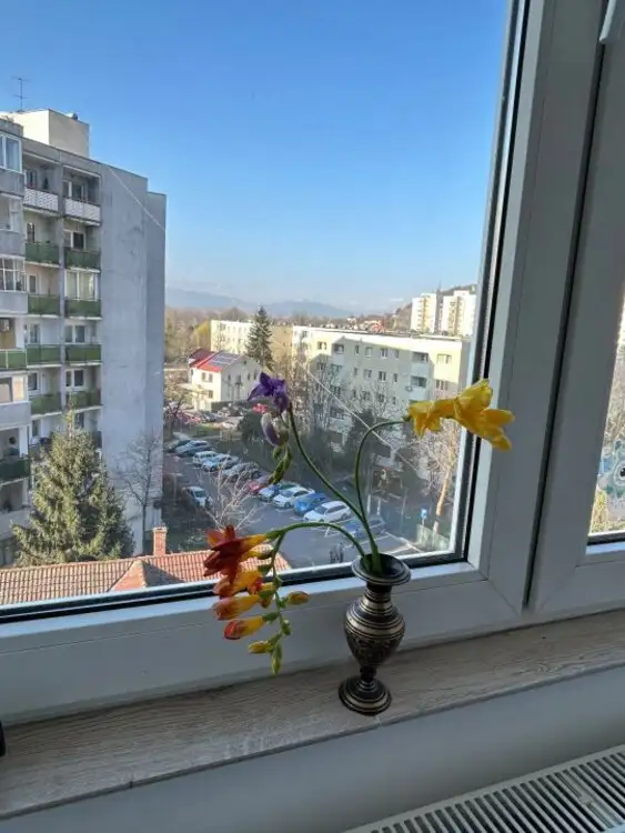 Apartament 2 camere in zona Profi capat Grigorescu