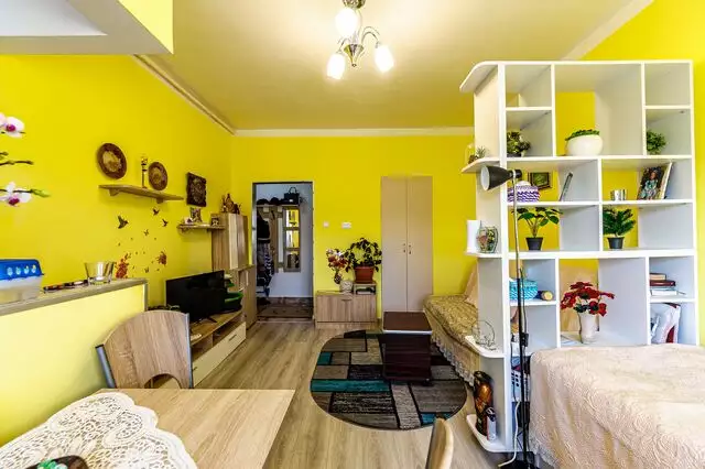 Apartament cu o cameră în Vladimirescu