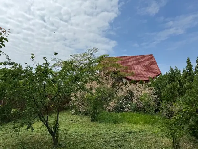 Inchiriere casa, 5 camere, in Nord, zona Buftea