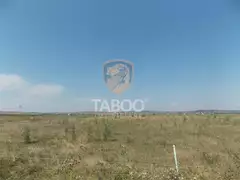 Teren arabil 2400 mp in Mohu judetul Sibiu la soseaua nationala