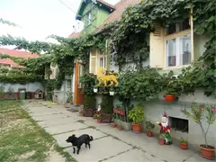 Casa singur in curte de vanzare in comuna Cristian judetul Sibiu