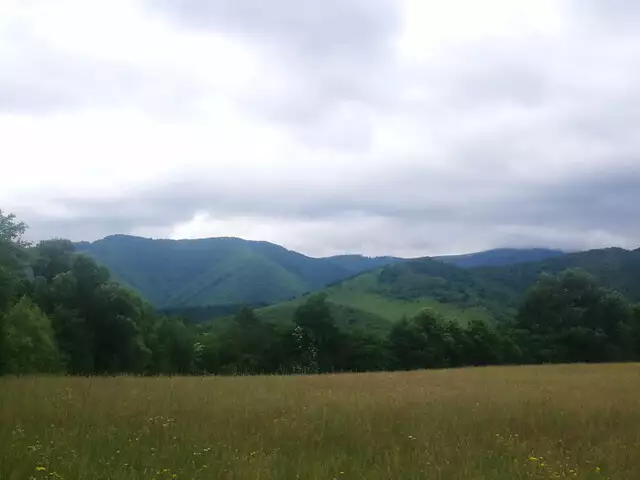 Teren intravilan 1,1 hectare de vanzare deschidere 105 m Tocile Sibiu
