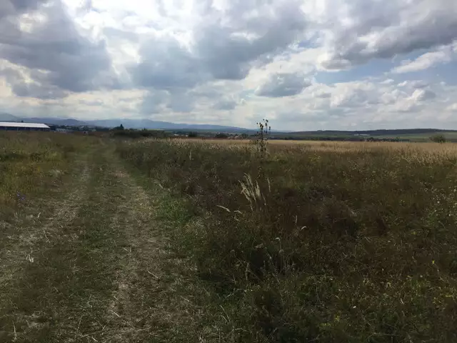 Teren extravilan 7500 mp pretabil investitie in Sura Mica din Sibiu