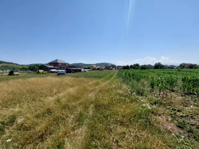 Teren intravilan de vanzare in zona Gusterita Sibiu 556 mp
