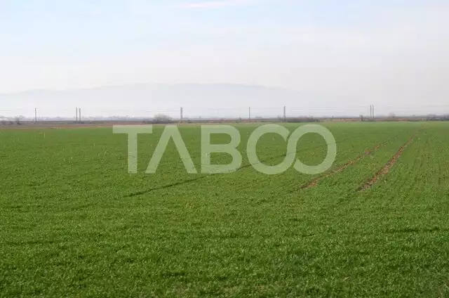 Teren intravilan 4300 mp zona Industriala de vanzare in Fagaras