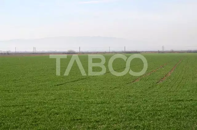 Teren de vanzare intravilan in Fagaras zona Ion Creanga judetul Brasov