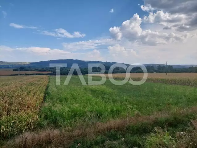 Teren extravilan agricol 5265mp utilitati front 48mp Oarda Alba Iulia