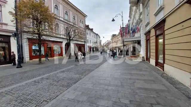 Apartament de inchiriat 93 mpu situat pe pietonala Nicolae Balcescu