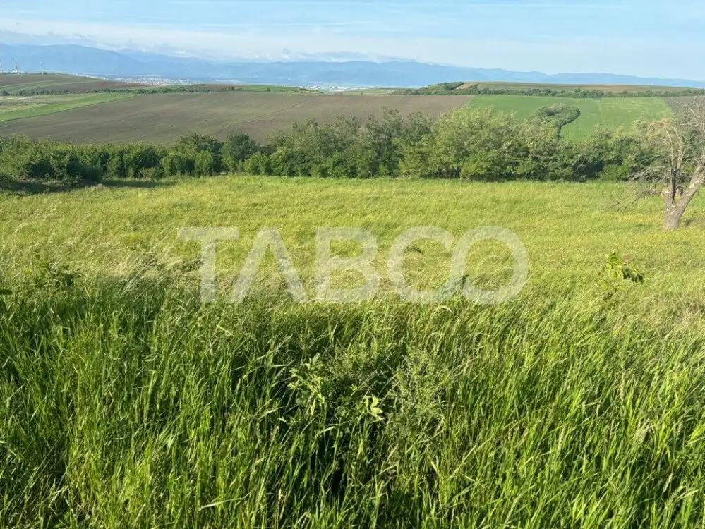 Teren de vanzare intravilan Sura Mare zona deosebita