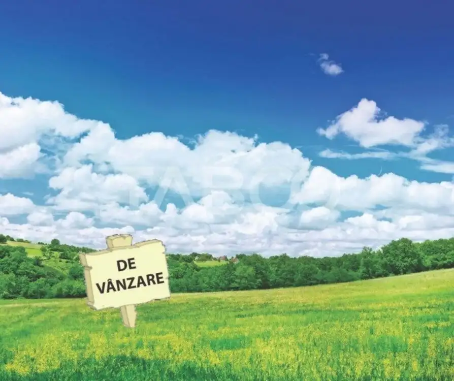 63 hectare de teren comasate de vanzare zona Viile Sibiului din Sibiu