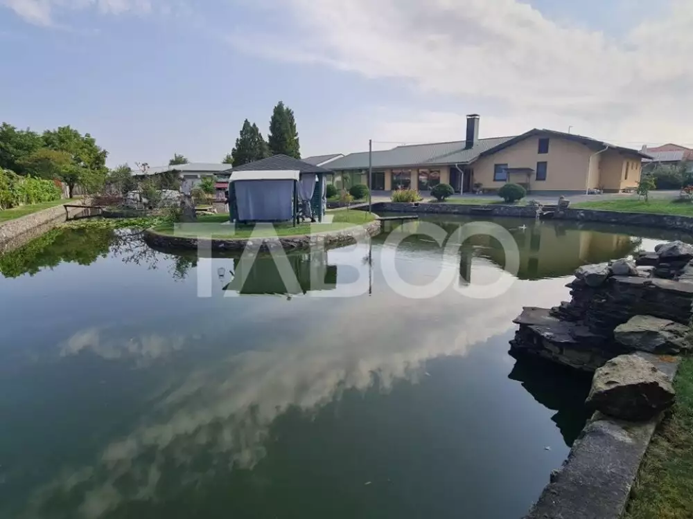 Vila de lux cu iaz si piscina zona rezidentiala de vanzare in Sebes