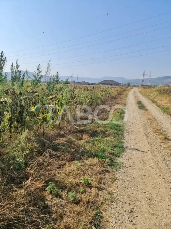 Teren intravilan de vanzare in Sebes drumul Petrestiului